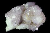 Cactus Quartz (Amethyst) Cluster - South Africa #80011-2